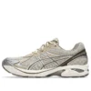 GT-2160 « Feather Grey Brown Storm »