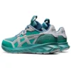 HS1-S Tarther Blast « Misty Pine »