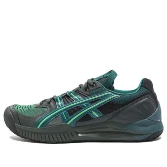 HS5-S GEL-Resolution SPS « Gris Vert »