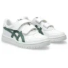 Japon S « White Ivy »