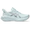 Novablast 4 LE « Cool Grey »