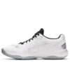 Sky Elite FF 2 Low « White Pure Silver »