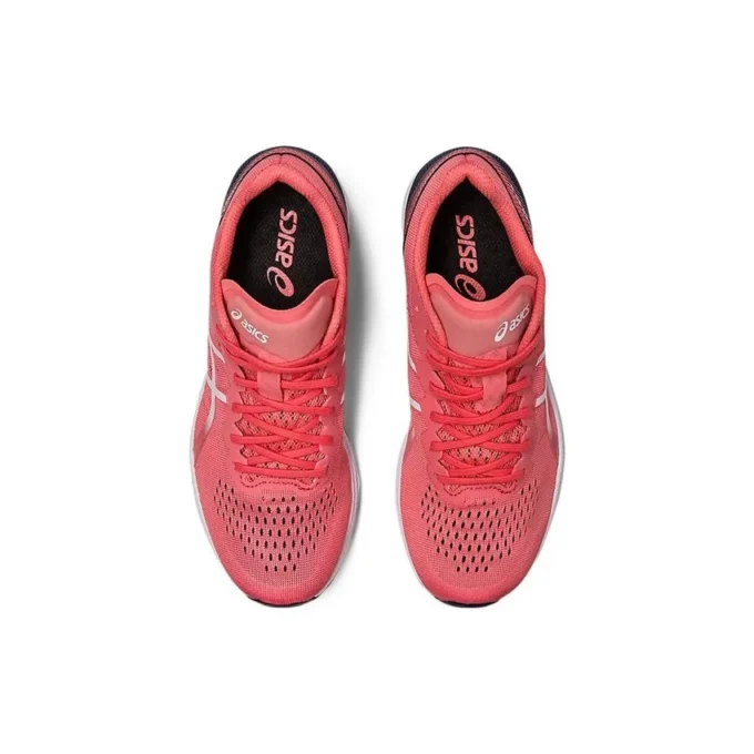 Tarther RP 3 « Papaya »