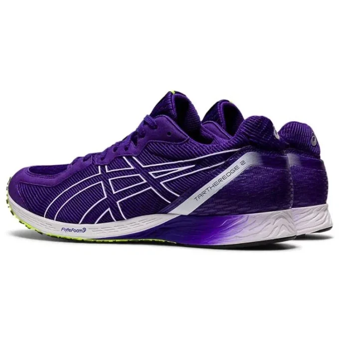 Tartheredge 2 « Gentry Purple »